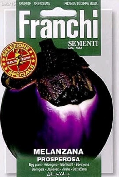 Eggplant Prosperosa (Solanum) 600 seeds FR